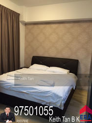 Skysuites@Anson (D2), Apartment #132943102